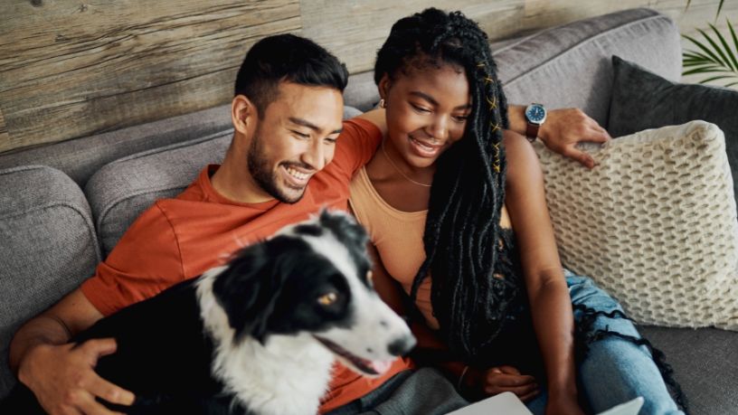 A man, woman and dog sitting on the couch looking at a laptop