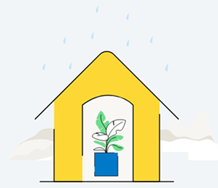 Illustration plant in small house